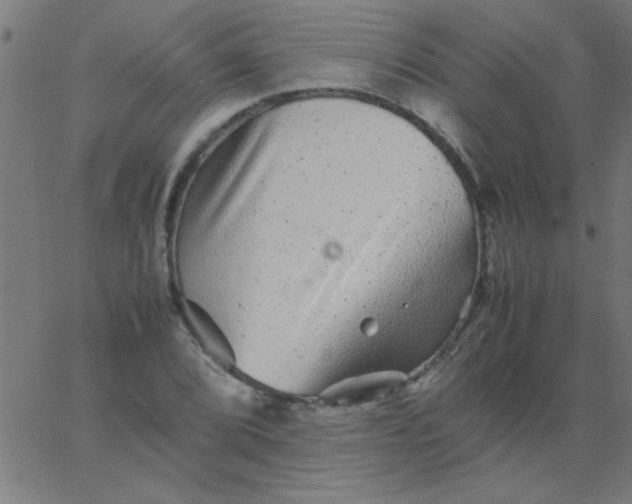 X0000067911072200604271912