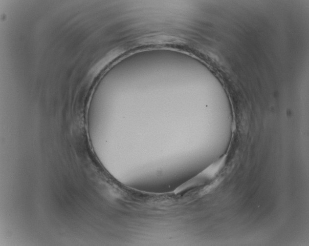 X0000067911073200604271912