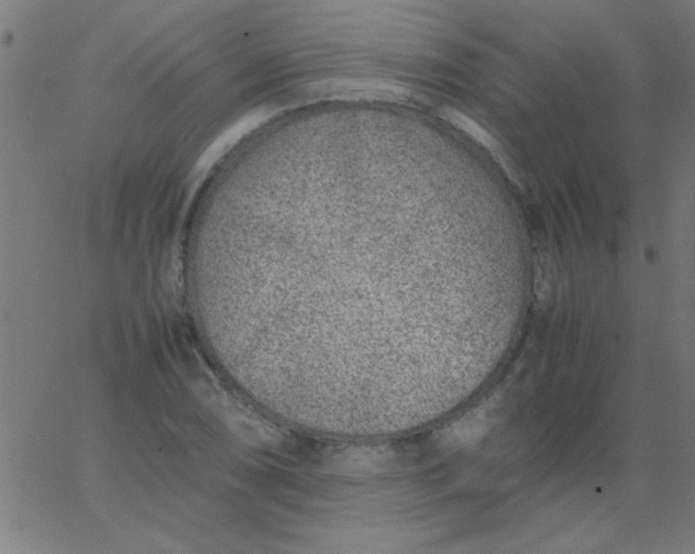 X0000067911074200604271912