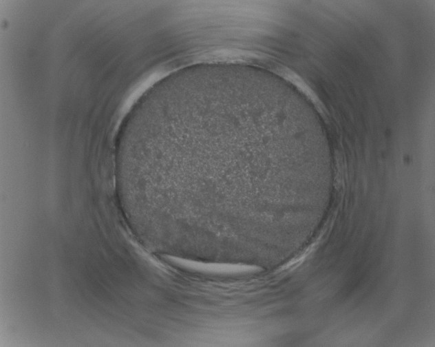 X0000067911075200604271912