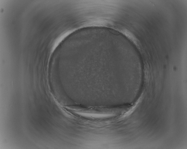 X0000067911077200604271912