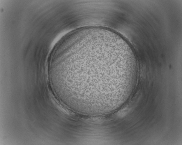 X0000067911078200604271912