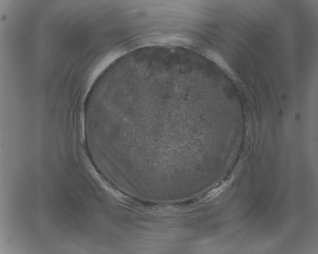 X0000067911079200604271912