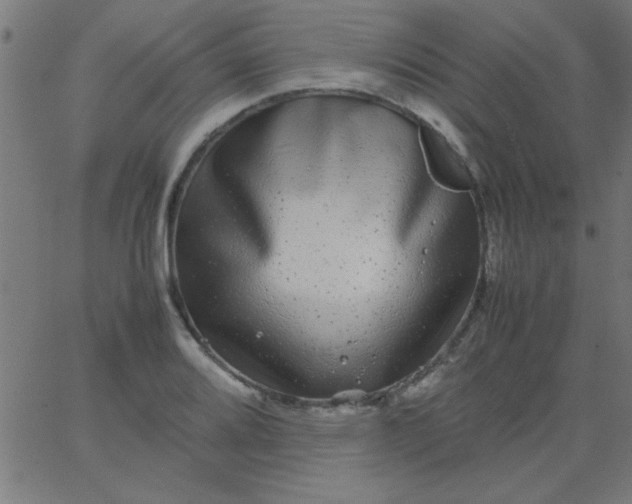 X0000067911080200604271912