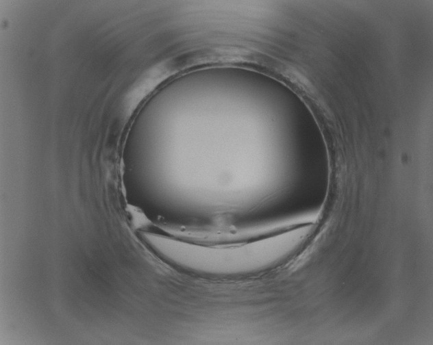 X0000067911081200604271912