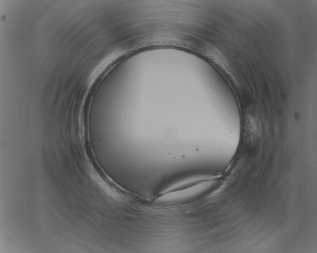 X0000067911082200604271912