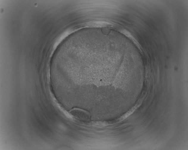 X0000067911083200604271912