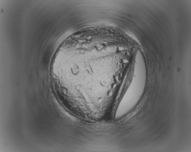 X0000067911087200604271911