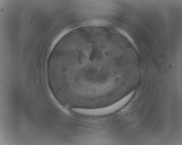 X0000067911091200604271911