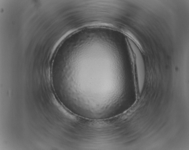 X0000067911092200604271911