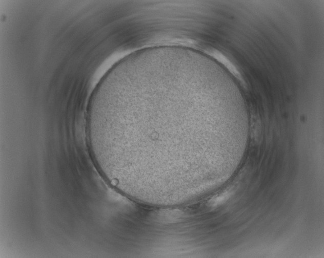 X0000067911094200604271911