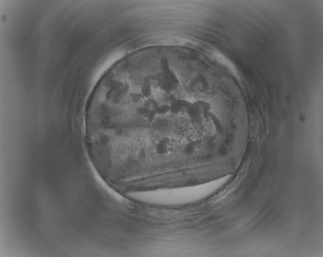 X0000067911095200604271911