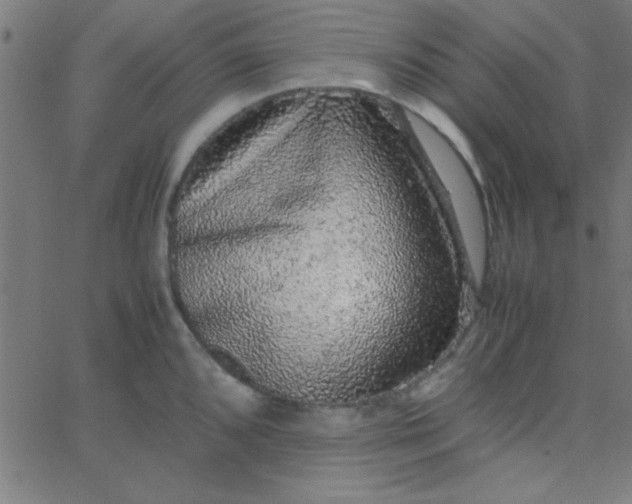 X0000067911096200604271911