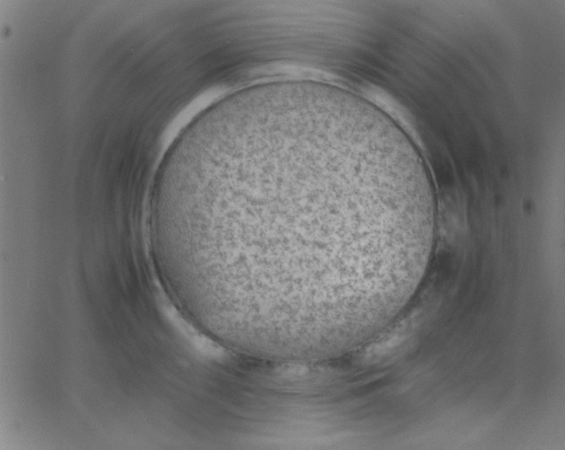 X0000067911098200604271911