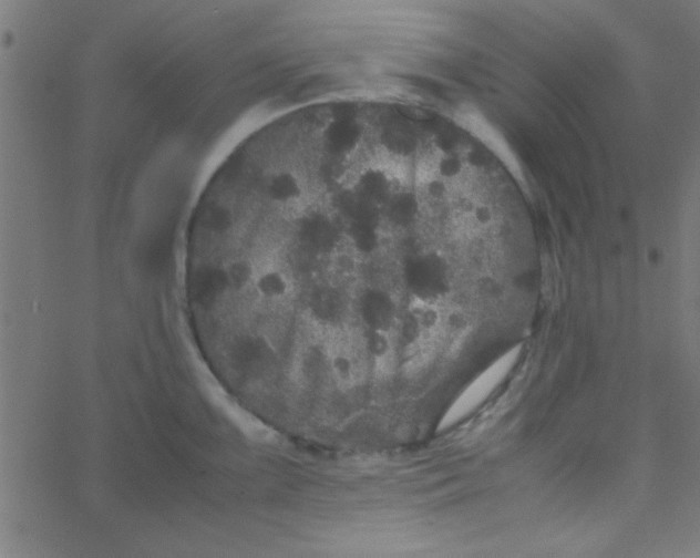 X0000067911099200604271911