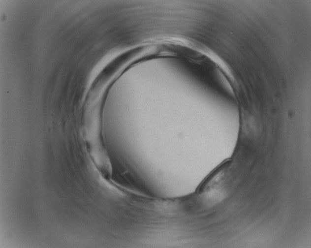 X0000067911102200604271911