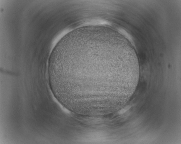 X0000067911103200604271911