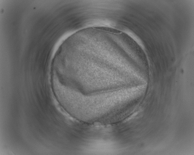 X0000067911104200604271911