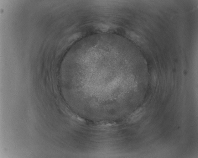 X0000067911105200604271910