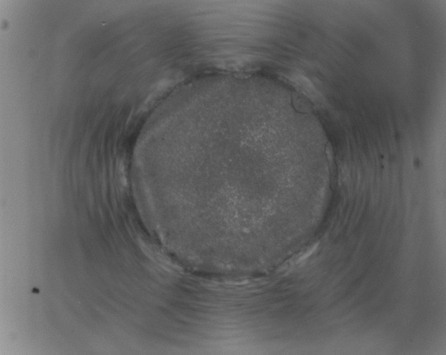 X0000067911106200604271910