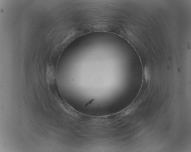 X0000067911107200604271910