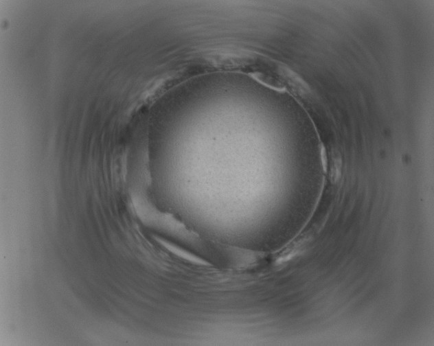 X0000067911108200604271910