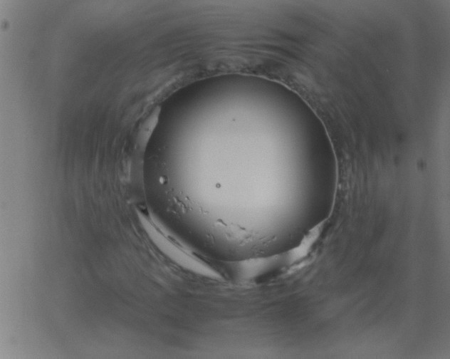 X0000067911109200604271910