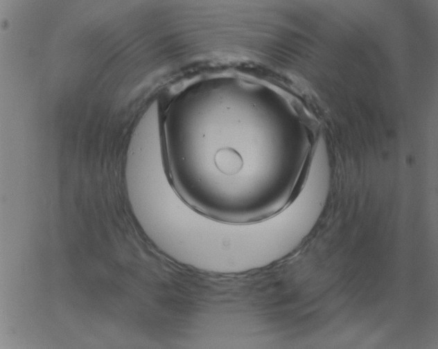 X0000067911110200604271910