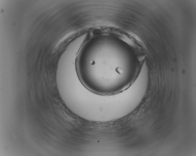 X0000067911112200604271911