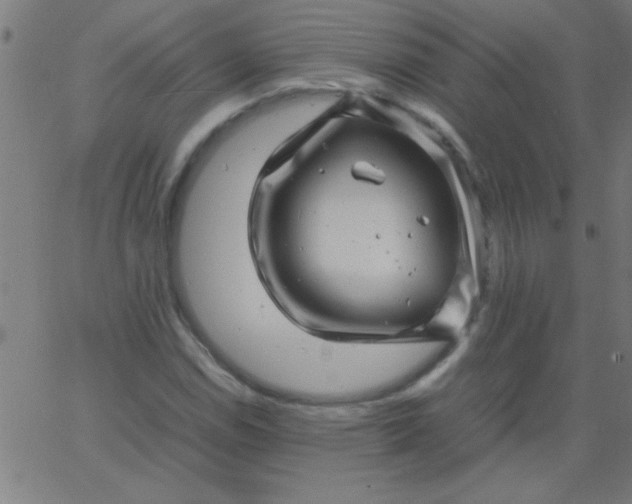 X0000067911114200604271911