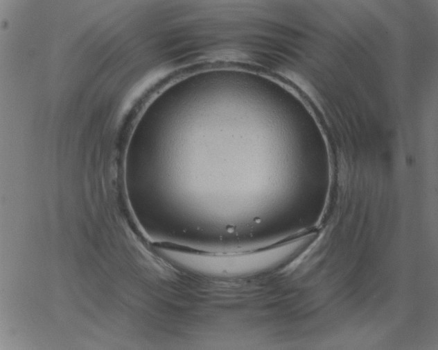 X0000067911115200604271911