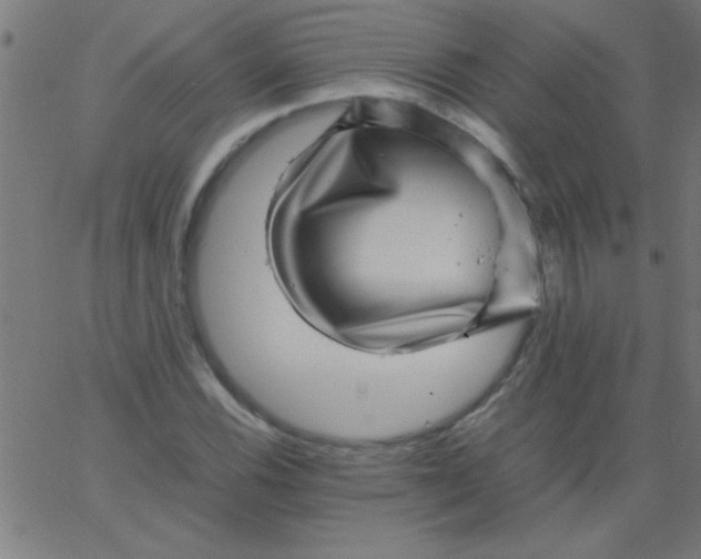 X0000067911116200604271911