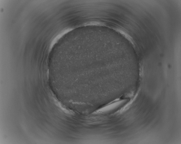 X0000067911117200604271911