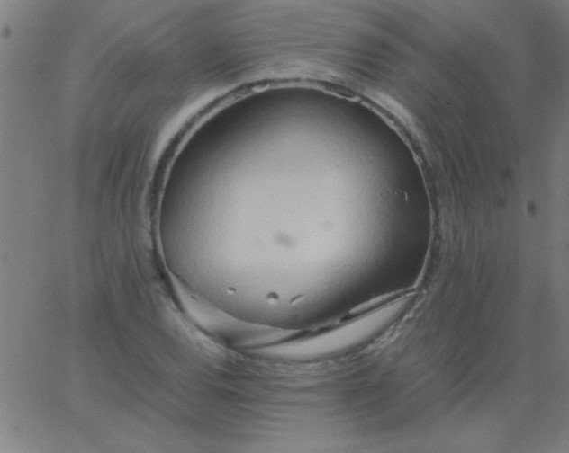 X0000067911120200604271911