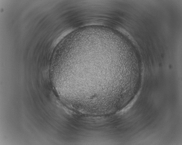 X0000067911121200604271911