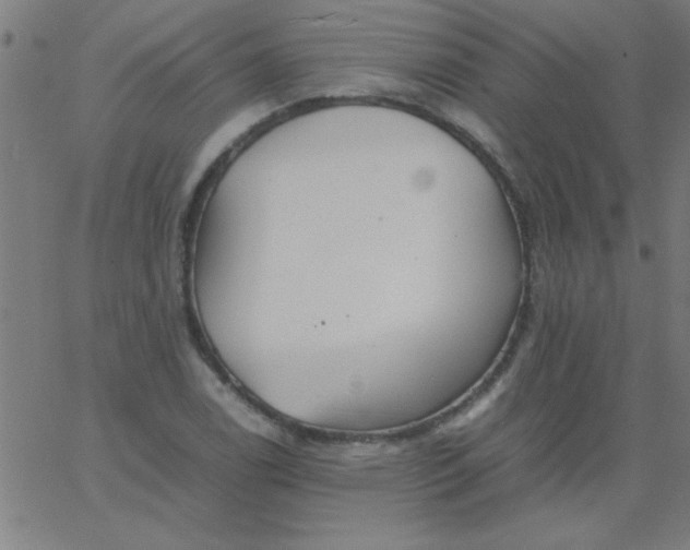 X0000067911122200604271911