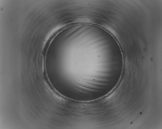 X0000067911123200604271911