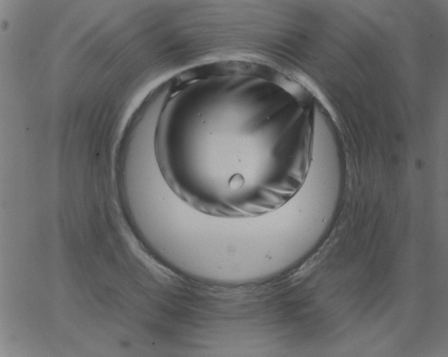 X0000067911124200604271911