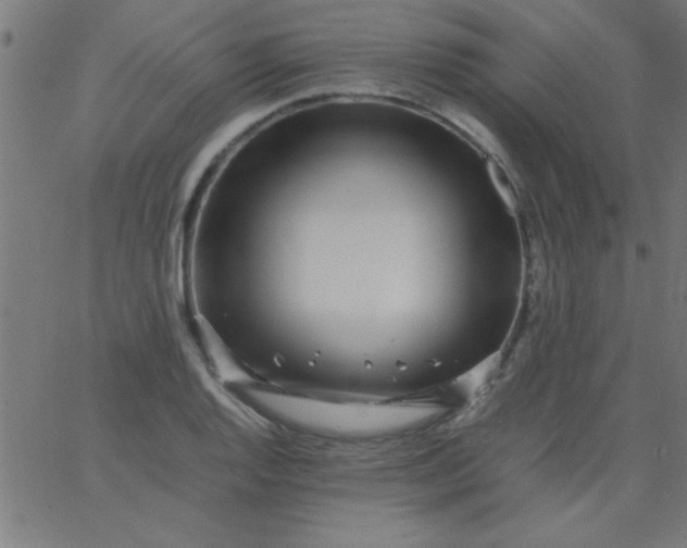 X0000067911128200604271911