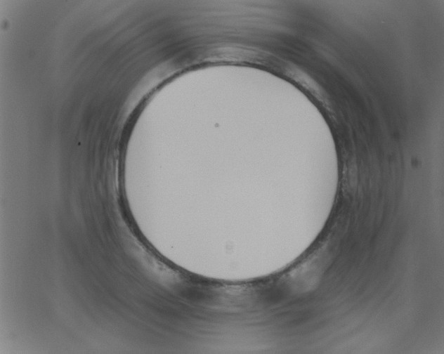 X0000067911130200604271911