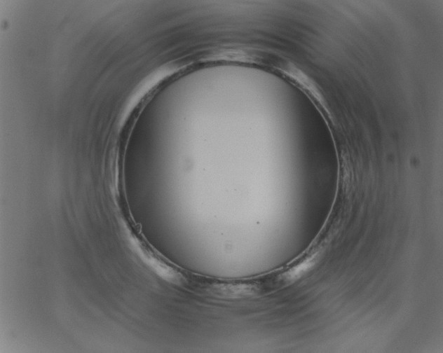 X0000067911131200604271911