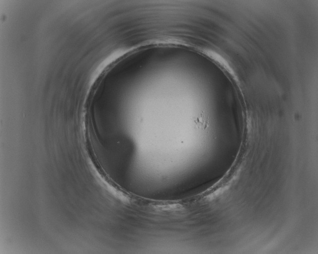 X0000067911133200604271911