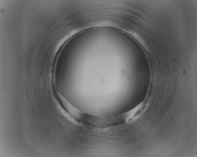 X0000067911134200604271911