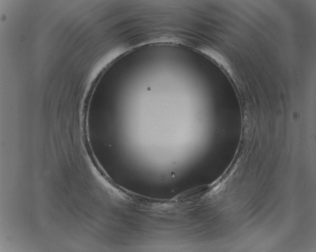 X0000067911135200604271911