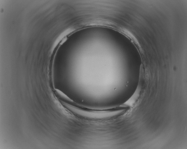 X0000067911138200604271911