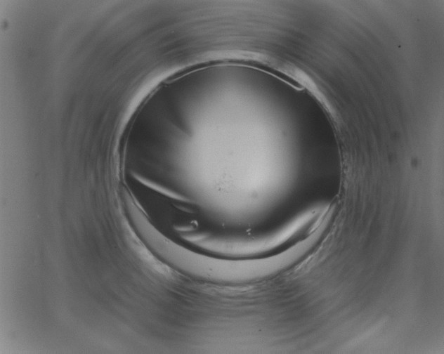 X0000067911140200604271911