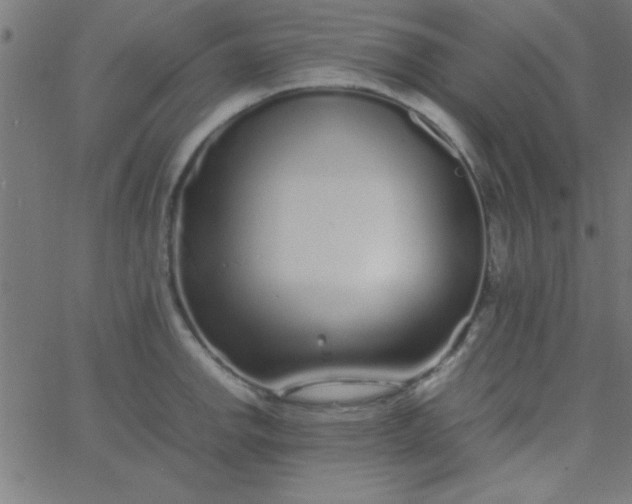 X0000067911142200604271911