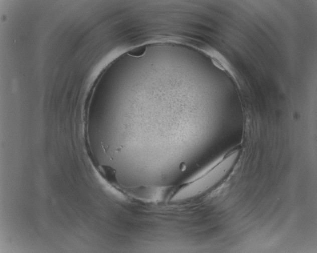 X0000067911143200604271911