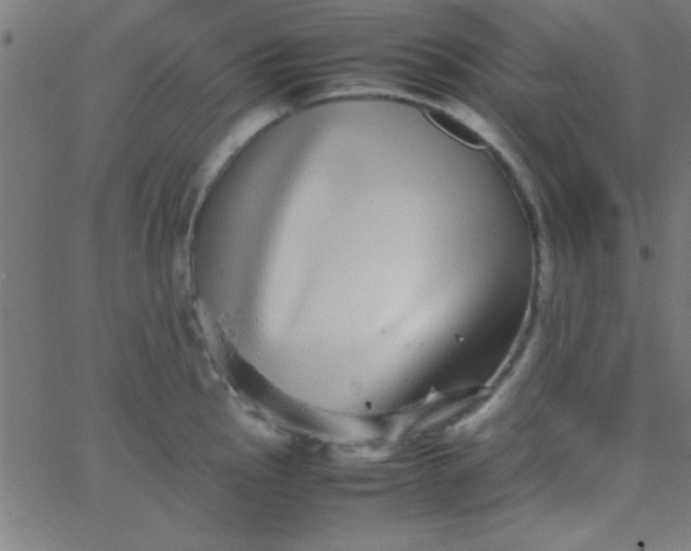 X0000067911145200604271911