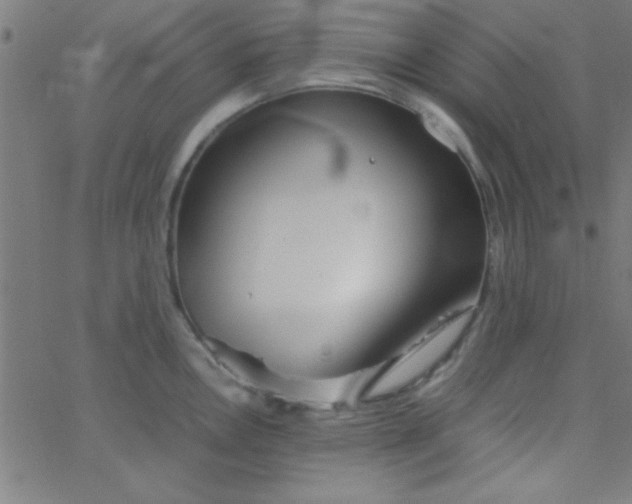 X0000067911146200604271911